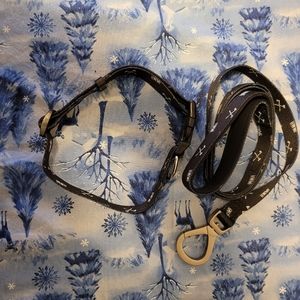 All American Roughneck dog collar and leash